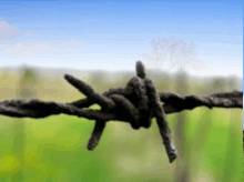 Impressionen-040 Impressionen-040