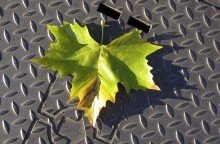 Impressionen-041